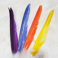 WHAT ABOUT FEATHERS ?